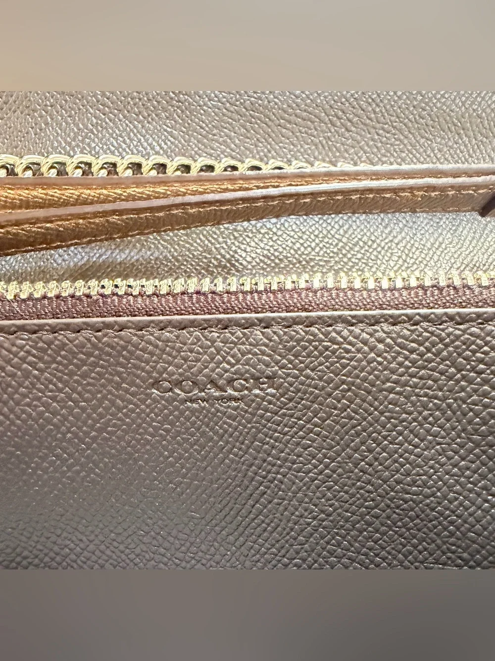 NWOT COACH METALLIC CHAMPAGNE SILVER SIGNATURE CROSSBODY CHAIN WRISTLET BAG